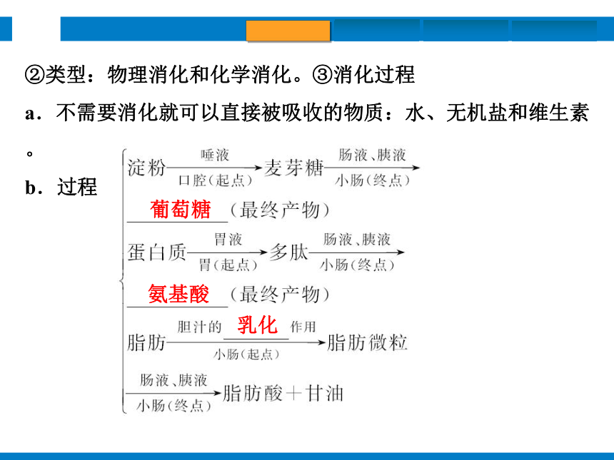 2024浙江省中考科学复习第6讲　动物的新陈代谢（1）（课件 50张PPT）