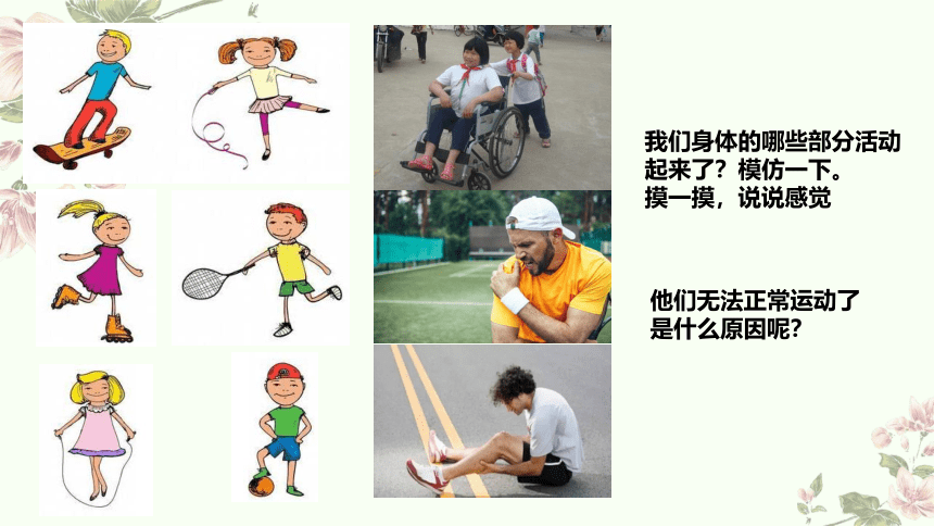 小学科学教科版五年级上册：2-身体的运动-教学课件(共13张PPT)