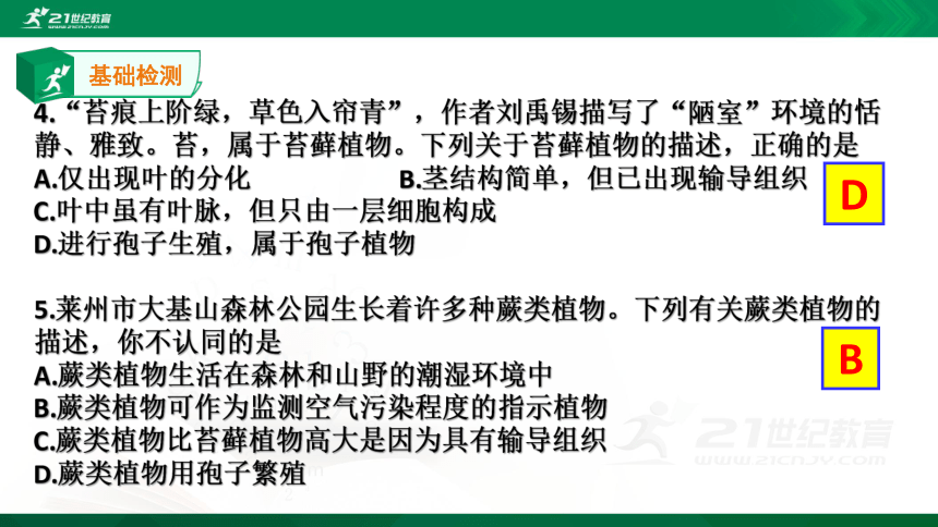 人教版初中生物总复习第一轮复习课件（五）生物圈中有哪些绿色植物