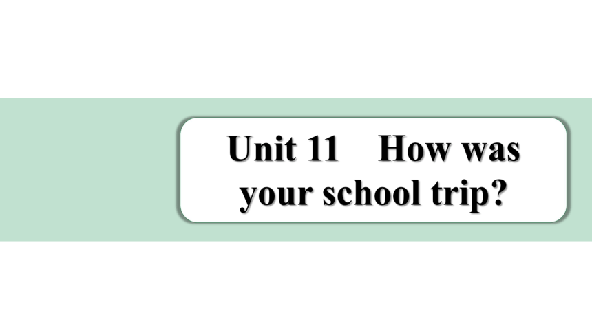 Unit 11 How was your school trip词句篇情境练习课件(共30张PPT) 2023-2024学年人教版英语七年级下册