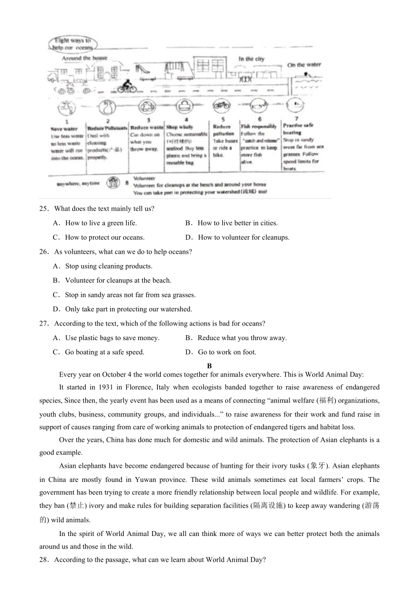 2023-2024学年八年级英语下册Unit 8 A green world单元必刷题（牛津译林版）（无锡专用）（含答案）