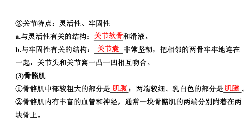 2024广西中考生物二轮中考考点研究 主题五 动物的运动和行为 课件（共36张PPT）