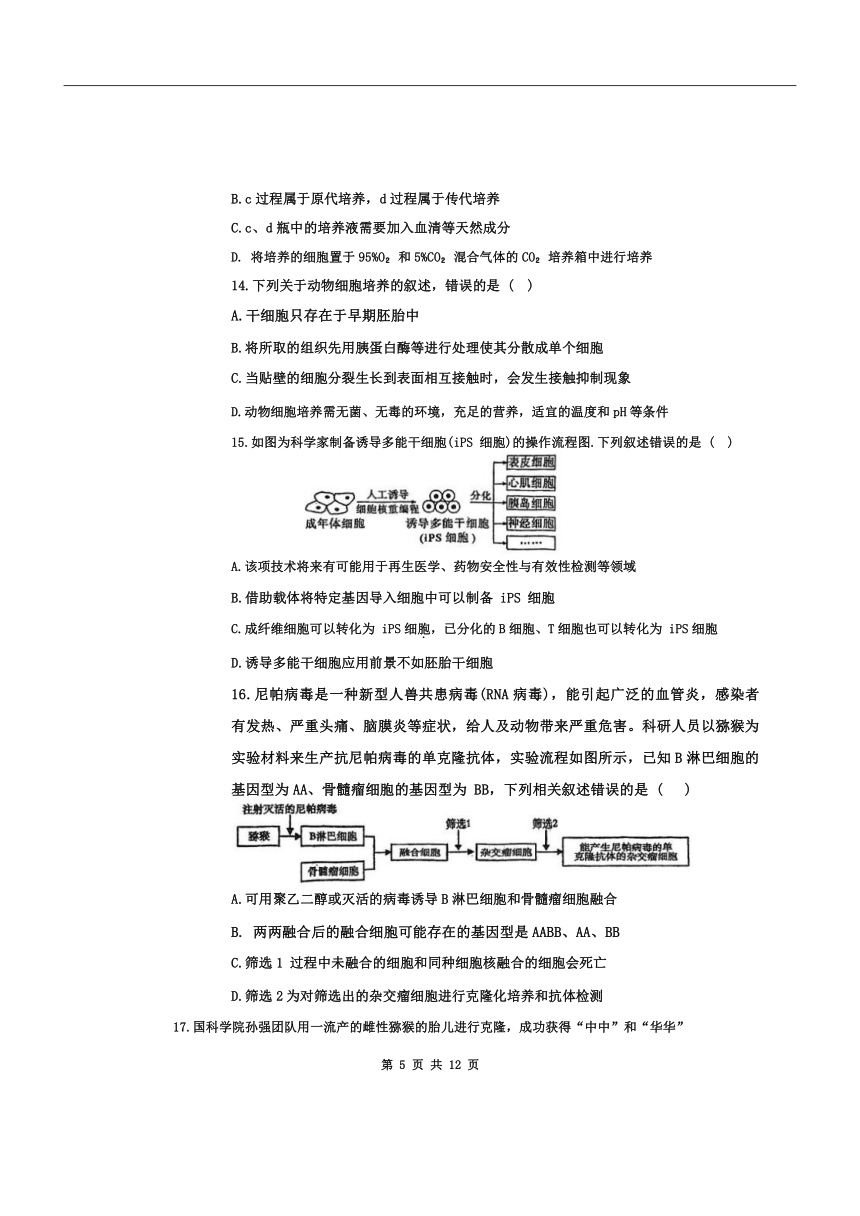 天津市南开中学滨海生态城学校2023-2024学年高二下学期期中检测生物学试卷（含答案）