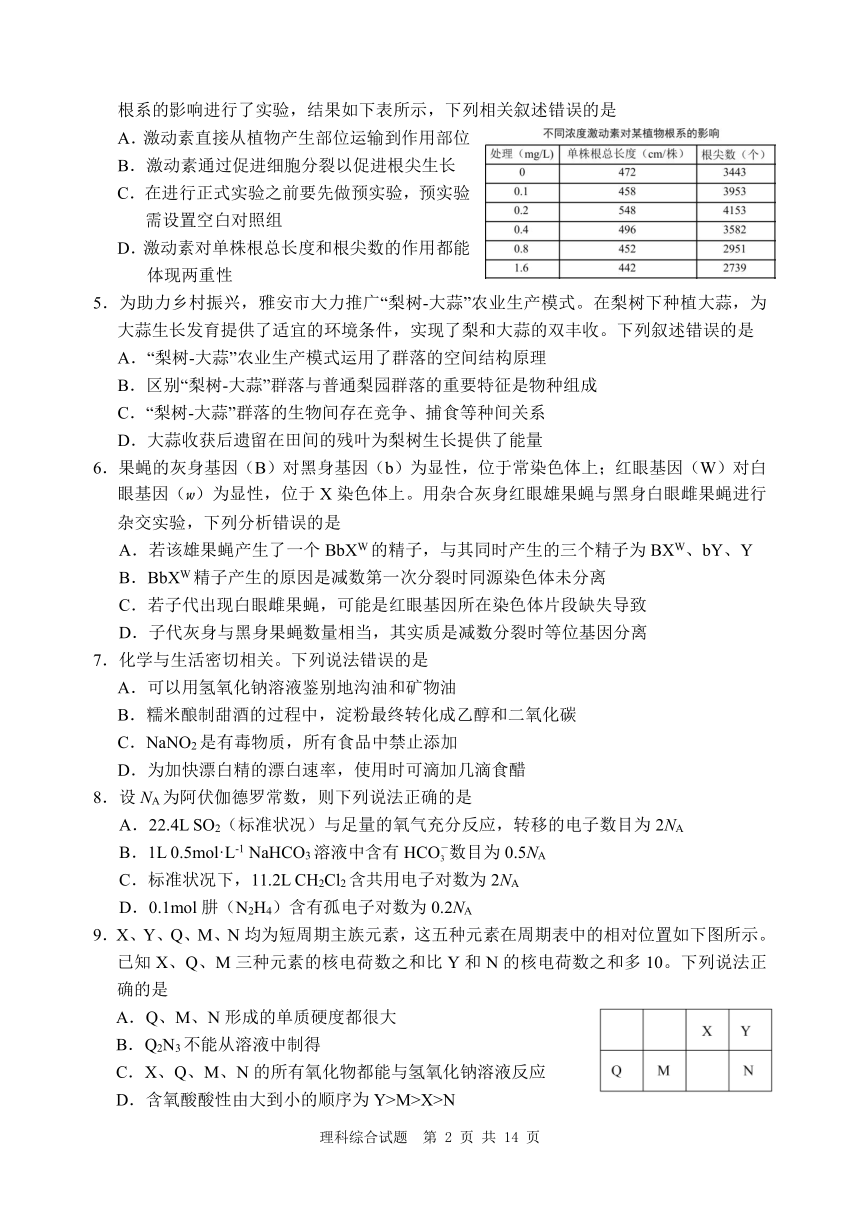 2024届四川省雅安市神州天立学校高三下学期高考冲刺考试理科综合试题（四）（PDF版含答案）