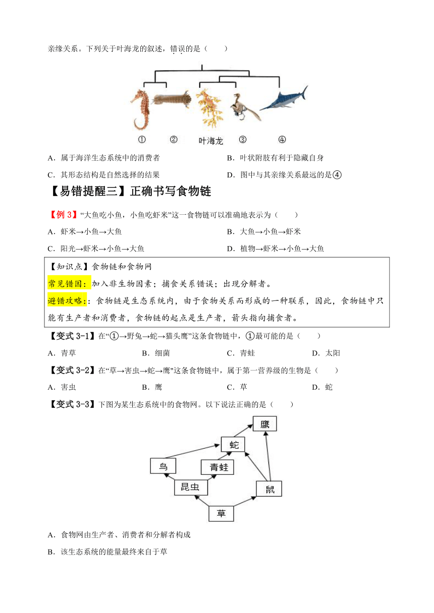 易错点01 生态系统-备战2024年中考生物易错题（含解析）