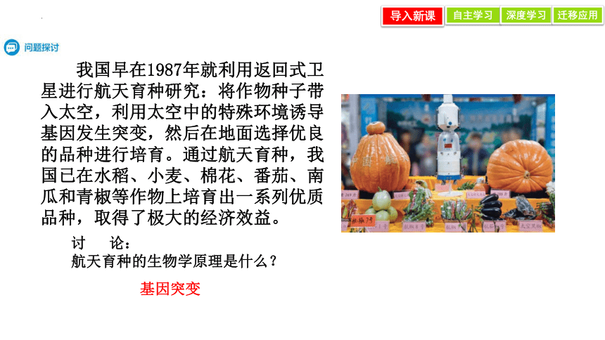 5.1 基因突变和基因重组 课件(共28张PPT)-2023-2024学年高一人教版（2019）生物必修2