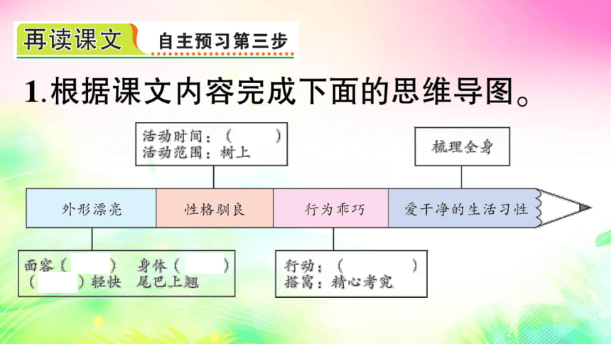 17 松鼠（预习+课堂作业）课件（25张)