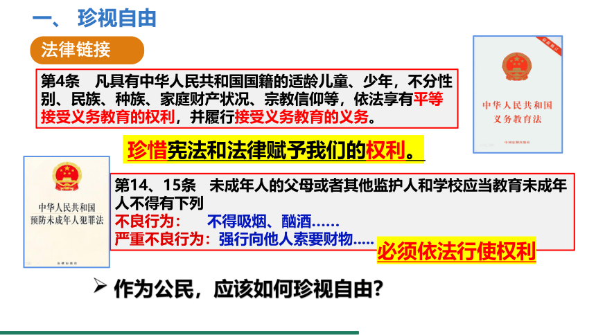 7.2 自由平等的追求 课件（共17张PPT）+内嵌视频- 统编版道德与法治八年级下册