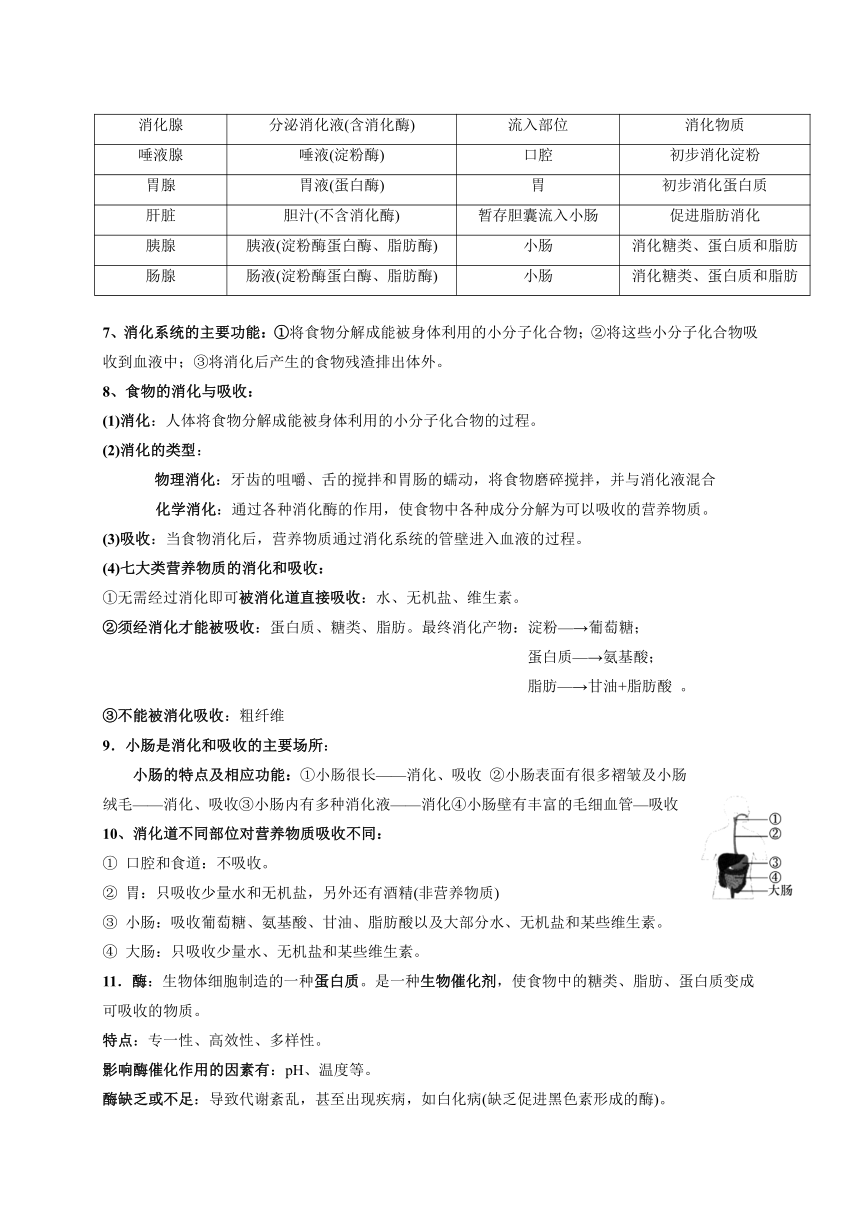 浙教版科学八升九暑假同步提高专题讲义（机构用）第12讲   食物的消化与吸收（含答案）