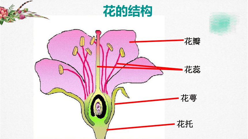 岭南版美术二年级下册期末考试 课件（10张PPT）