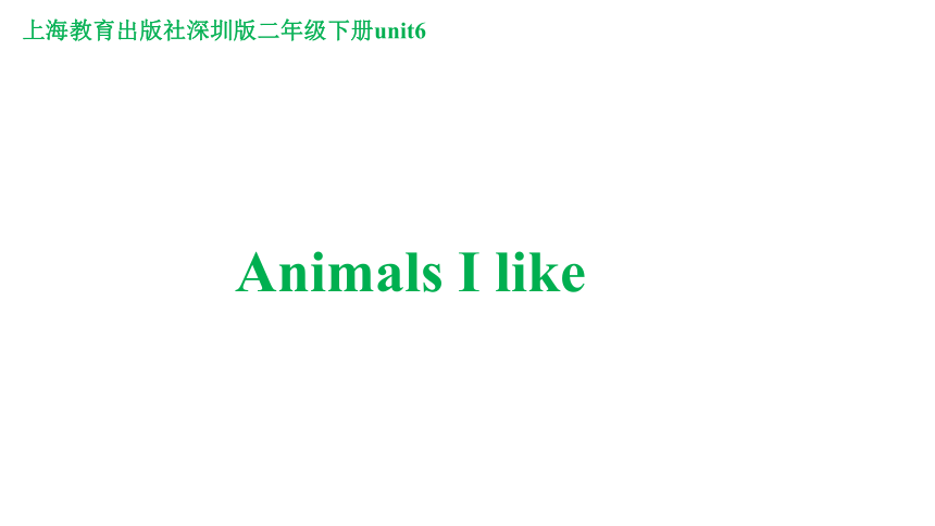 Module 2 Unit 6 Animals I like 课件（38张，内嵌视频）