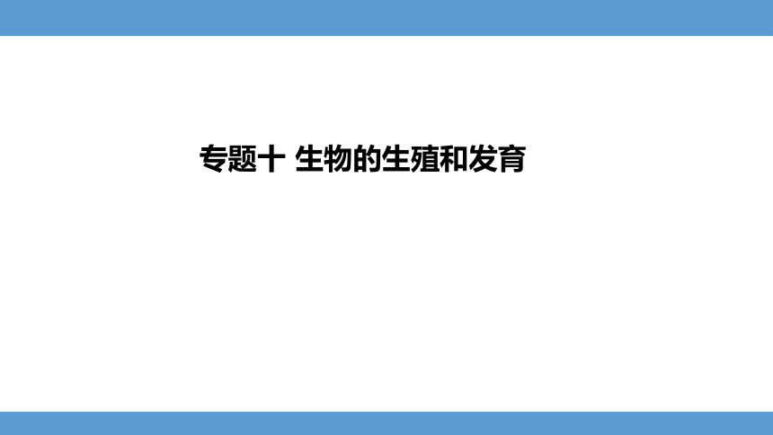 2024年河北省中考生物教材知识梳理课件——专题十 生物的生殖和发育(共34张PPT)