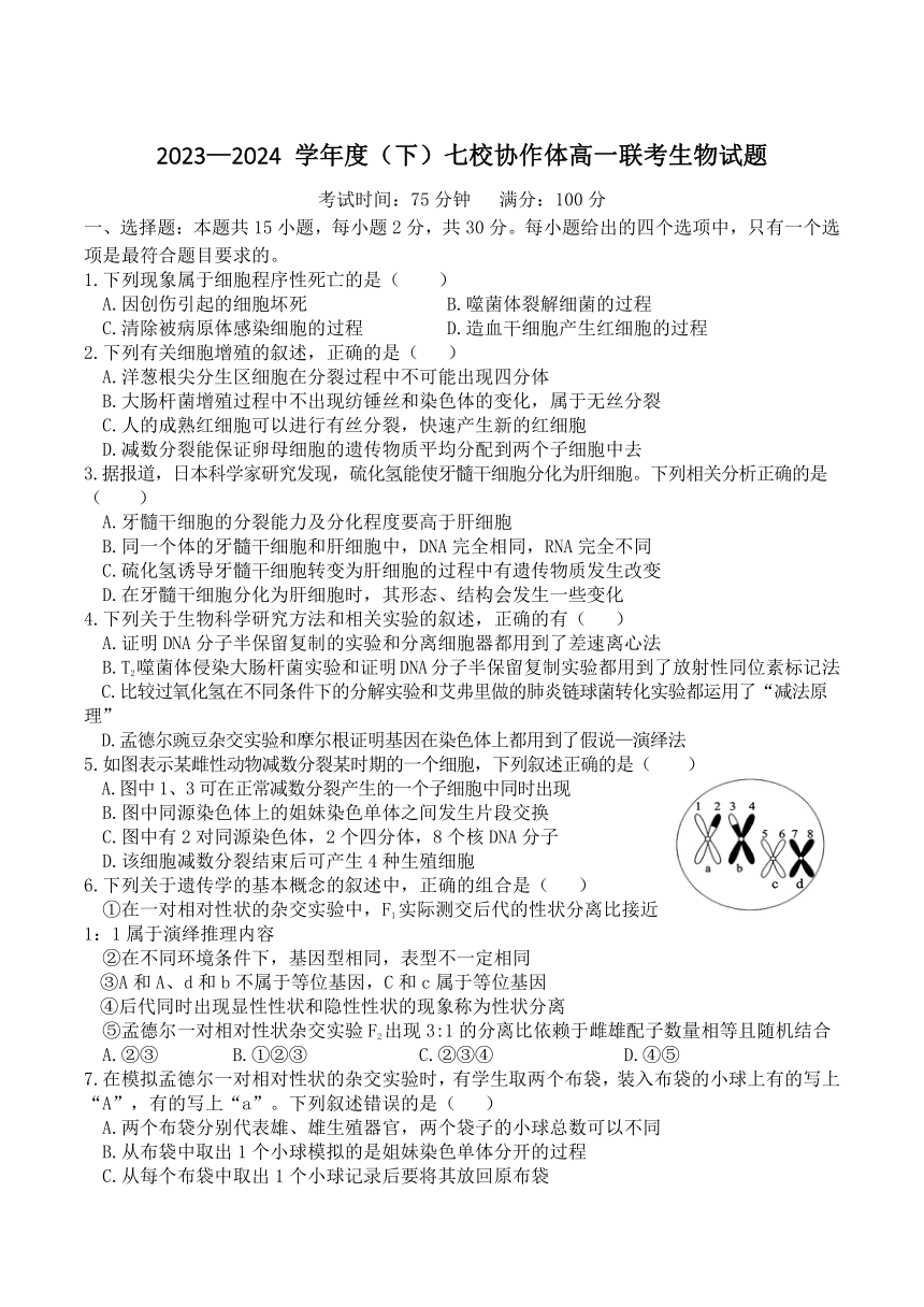 辽宁省七校协作体2023-2024学年高一下学期5月期中联考生物试卷（含答案）