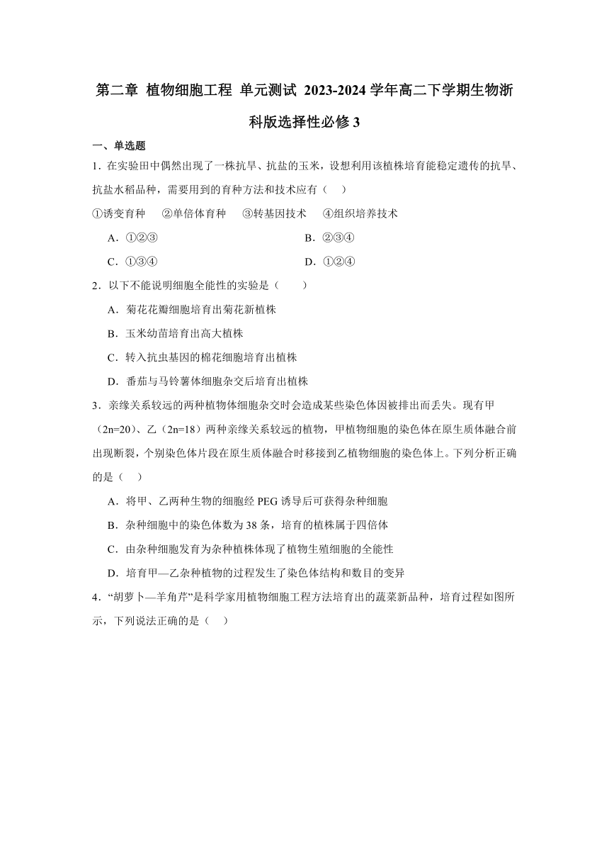 第二章 植物细胞工程 单元测试 2023-2024学年高二下学期生物浙科版选择性必修3（含解析）