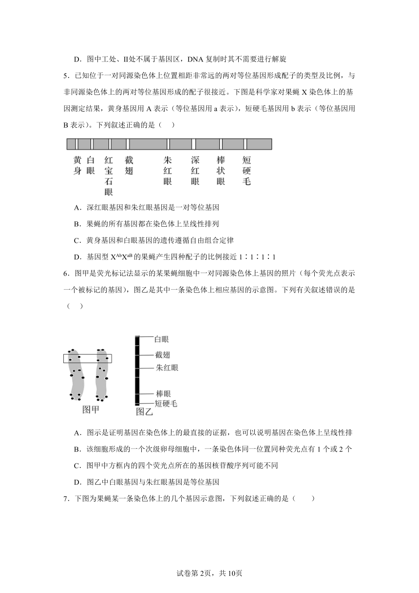 3.4基因通常是有遗传效应的DNA片段同步练习（含解析）2023——2024学年高生物人教版（2019）必修2遗传与进化