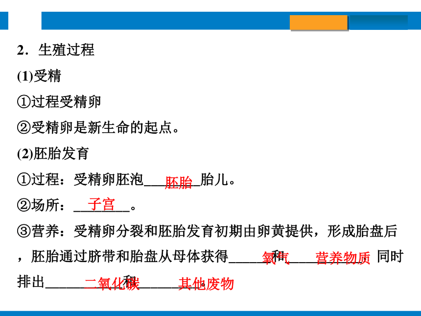 2024浙江省中考科学总复习第3讲　人与动物的生殖和发育（课件 30张PPT）