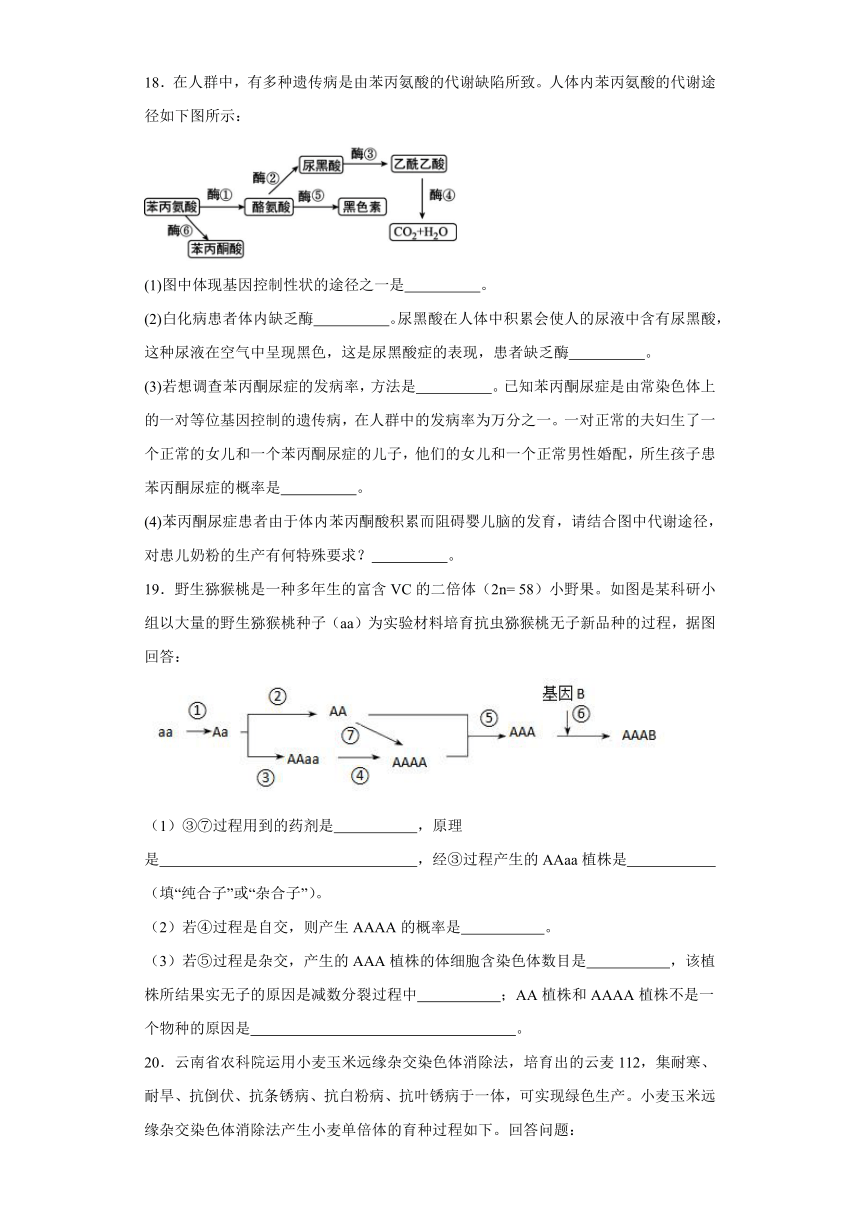 6.3种群基因组成的变化与物种的形成 同步练习（含解析）