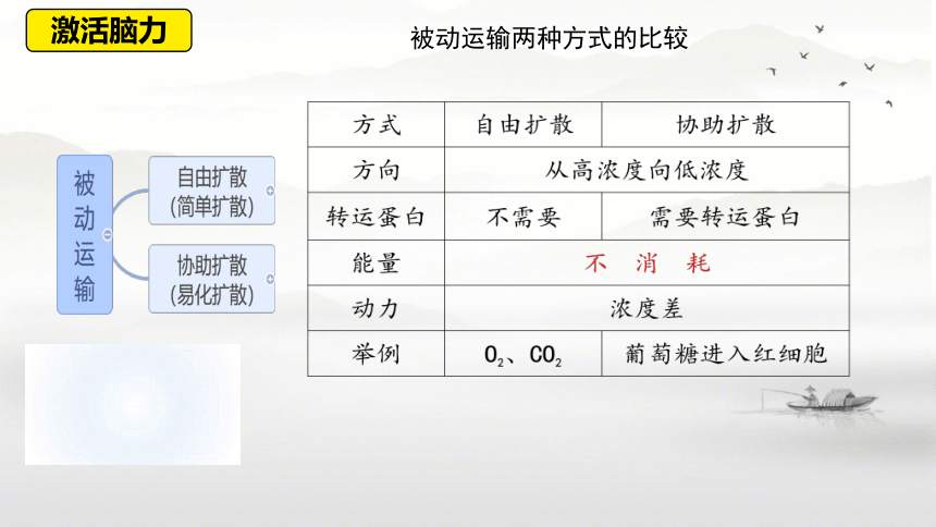 4.2 主动运输与胞吞、胞吐课件-(共29张PPT2份视频)人教版（2019）必修1