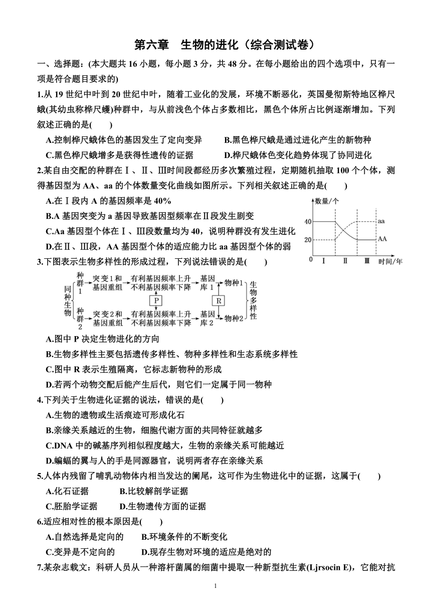 第六章  生物的进化（综合测试卷）（附答案）—2023-2024学年高一下学期生物必修2（人教版(2019））