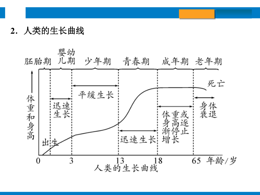 2024浙江省中考科学总复习第3讲　人与动物的生殖和发育（课件 30张PPT）