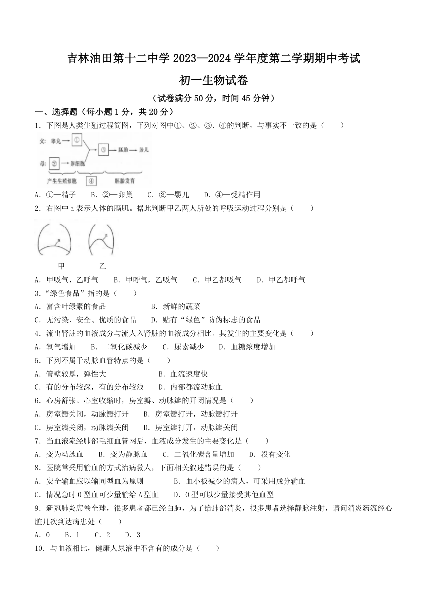 吉林省油田第十二中学2023—2024学年七年级下学期期中考试生物试卷（word版含答案）