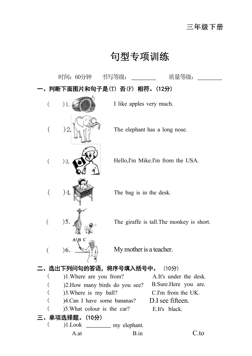 2023-2024学年人教版PEP三年级下册专项训练：句型（无答案）