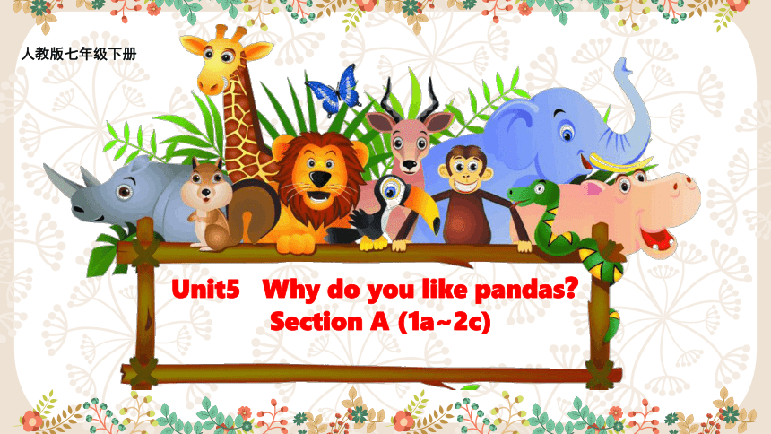 Unit 5 Why do you like pandas Section A (1a~2c)课件(共30张PPT) 人教版初中英语七年级下册