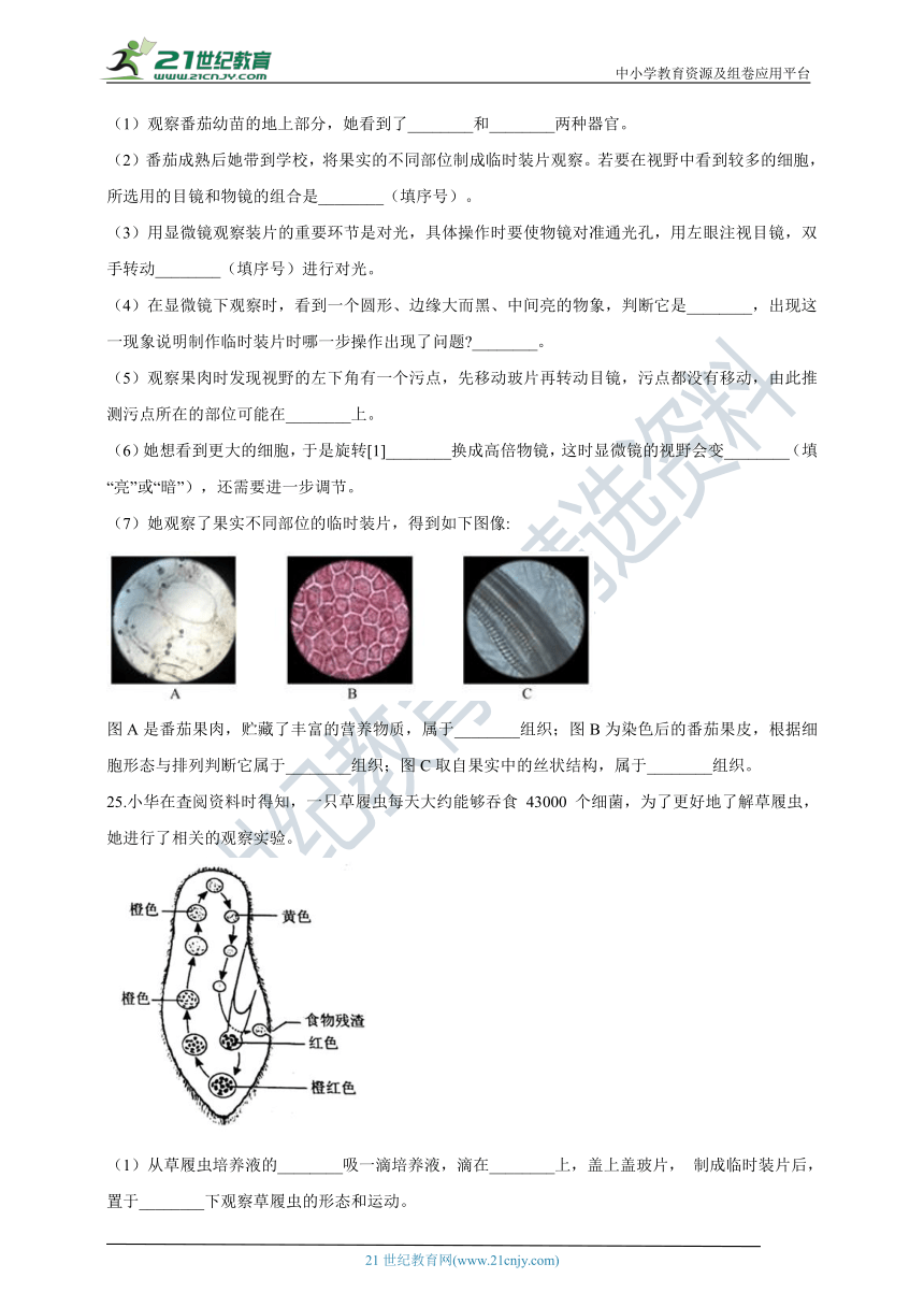 第二单元第二章 细胞怎样构成生物体 章末检测（含解析）