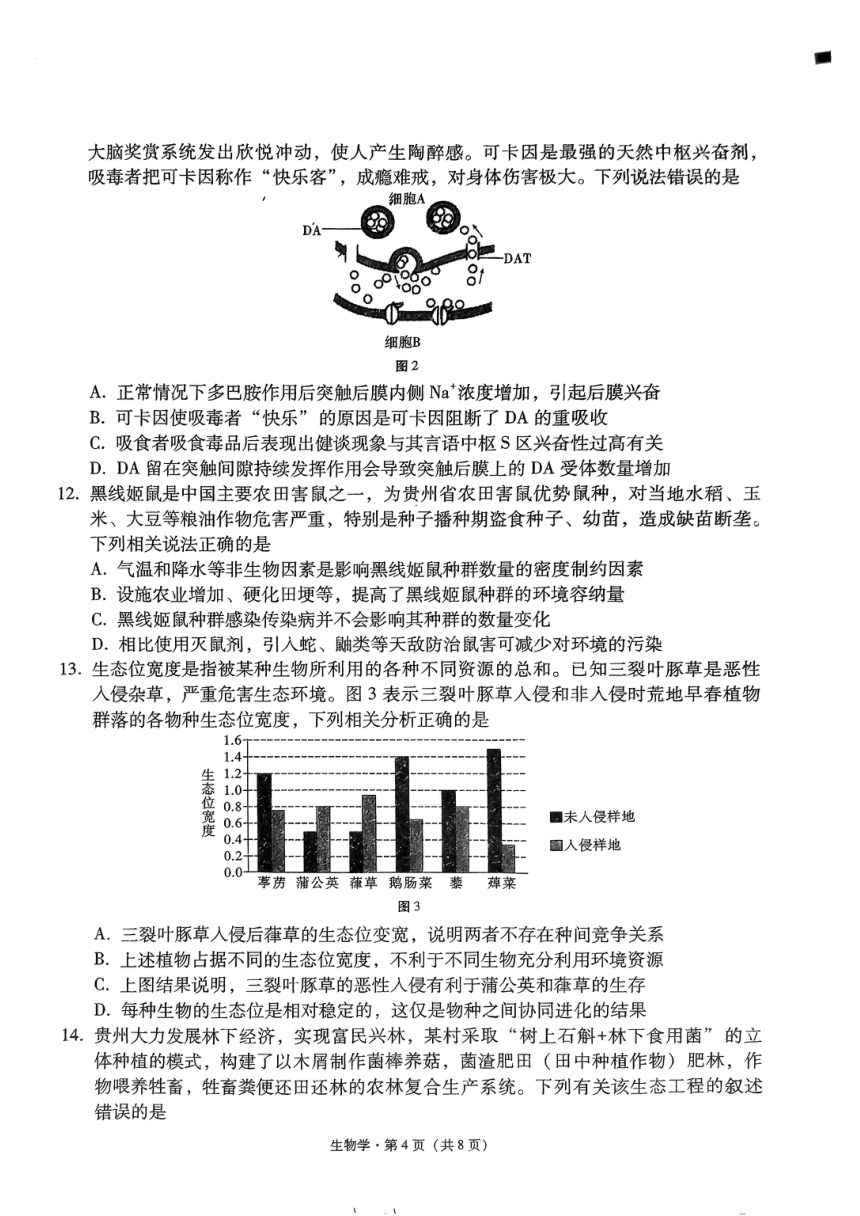 2024届贵州省黔东南苗族侗族自治州凯里一中黄金二卷三模生物试题（PDF版无答案）