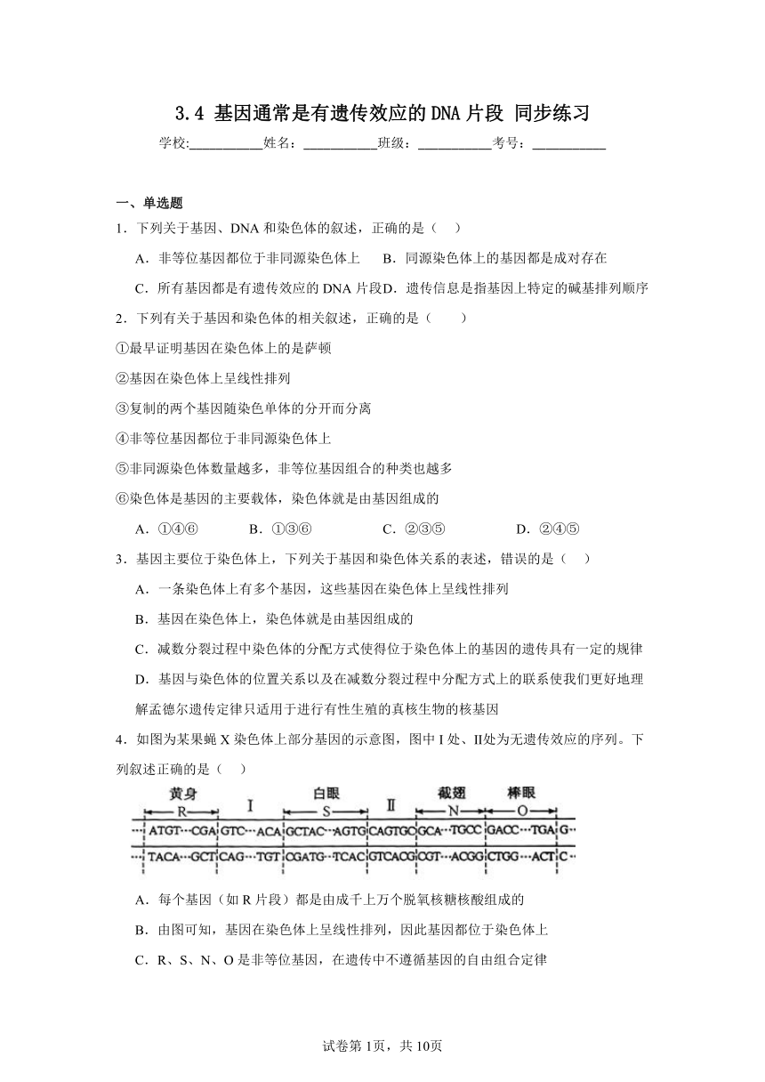 3.4基因通常是有遗传效应的DNA片段同步练习（含解析）2023——2024学年高生物人教版（2019）必修2遗传与进化