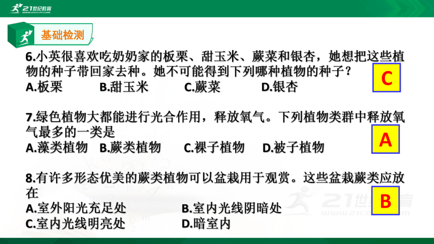 人教版初中生物总复习第一轮复习课件（五）生物圈中有哪些绿色植物