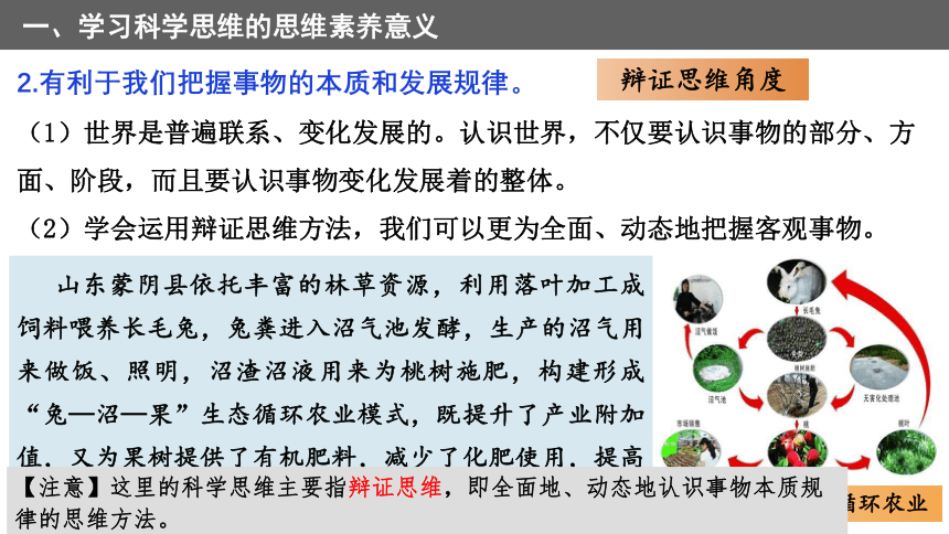 3.2 科学思维的意义 课件(共21张PPT)-2023-2024学年高二政治统编版选择性必修3逻辑与思维