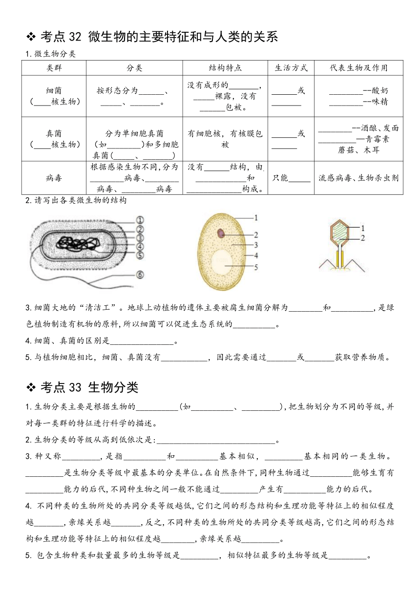 2023-2024学年苏教版生物八年级上册考点汇编（无答案）