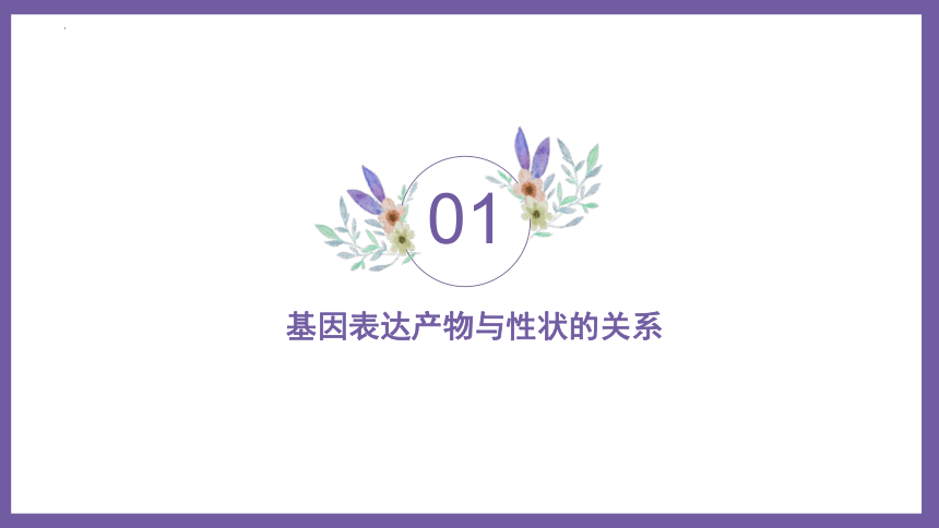 4.2 基因表达与性状的关系课件(共67张PPT)-2023-2024学年高一下学期生物人教版（2019）必修2