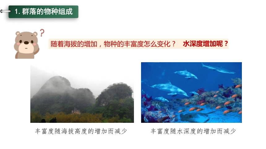 2.1 群落的结构课件(共80张PPT1份视频)-2023-2024学年高二上学期生物人教版选择性必修2