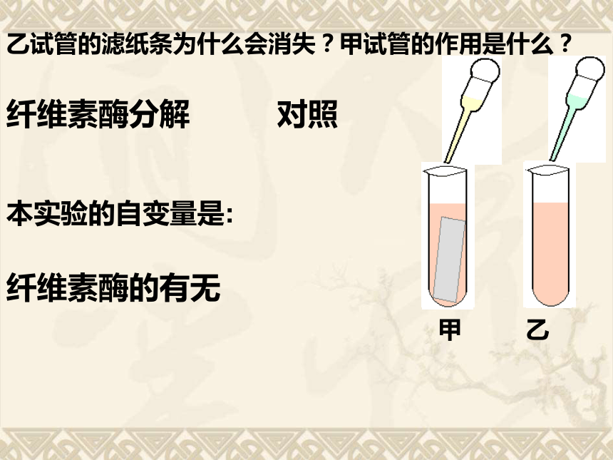 2．3分解纤维素的微生物的分离（共29张PPT）