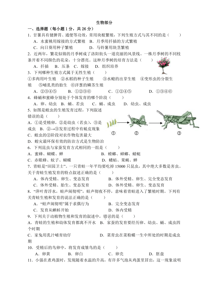 江西省抚州市南城县2023-2024学年八年级下学期期中考试地理、生物（合卷）试题（含答案）