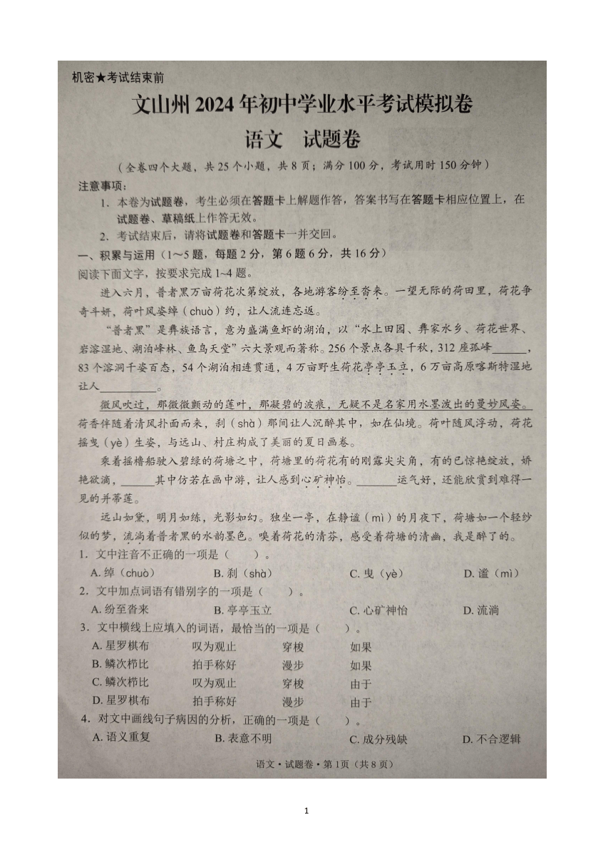 2024年云南省文山州初中学业水平考试模拟监测语文试题卷（pdf版含答案）