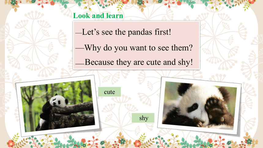 Unit 5 Why do you like pandas Section A (1a~2c)课件(共30张PPT) 人教版初中英语七年级下册