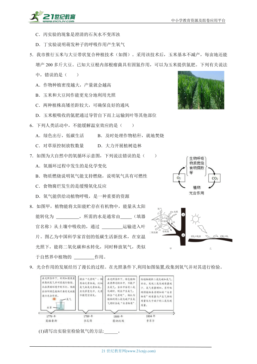 浙教版八下科学期中专题12 光合作用与碳氧循环（含答案）