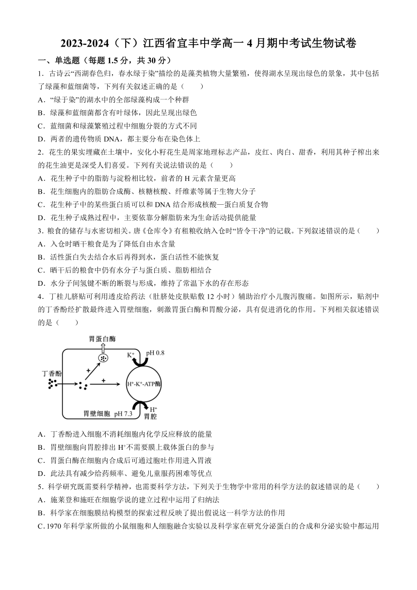 江西省宜春市宜丰县宜丰中学2023-2024学年高一下学期4月期中生物试题（含解析）