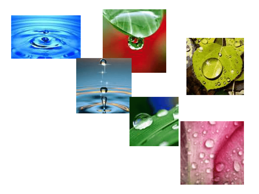 人教版（五四制）八年级全册化学 4.2 水的净化 课件(26张PPT)