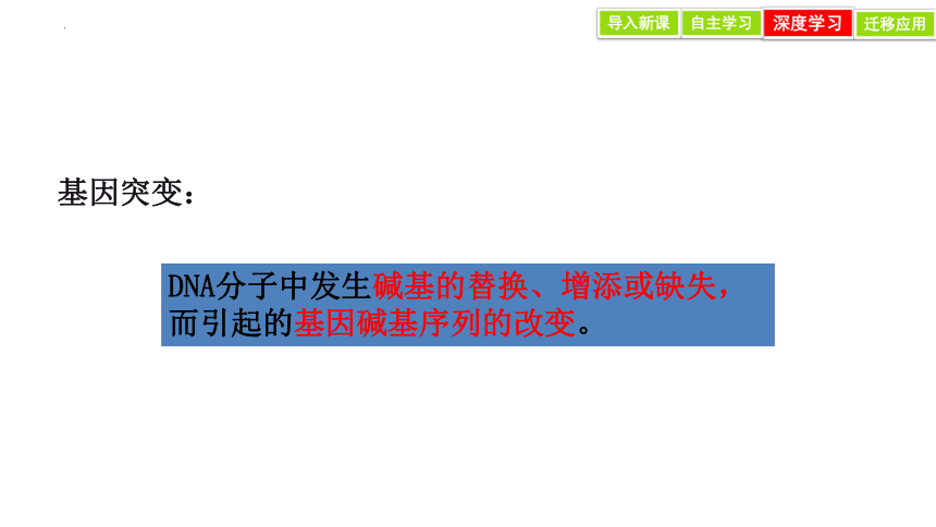 5.1 基因突变和基因重组 课件(共28张PPT)-2023-2024学年高一人教版（2019）生物必修2