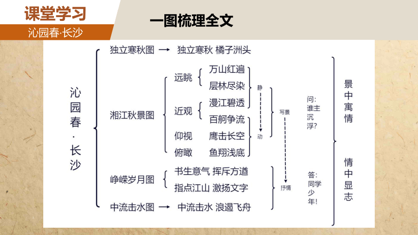 1《沁园春·长沙》课件(共31张PPT) 2023-2024学年统编版高中语文必修上册