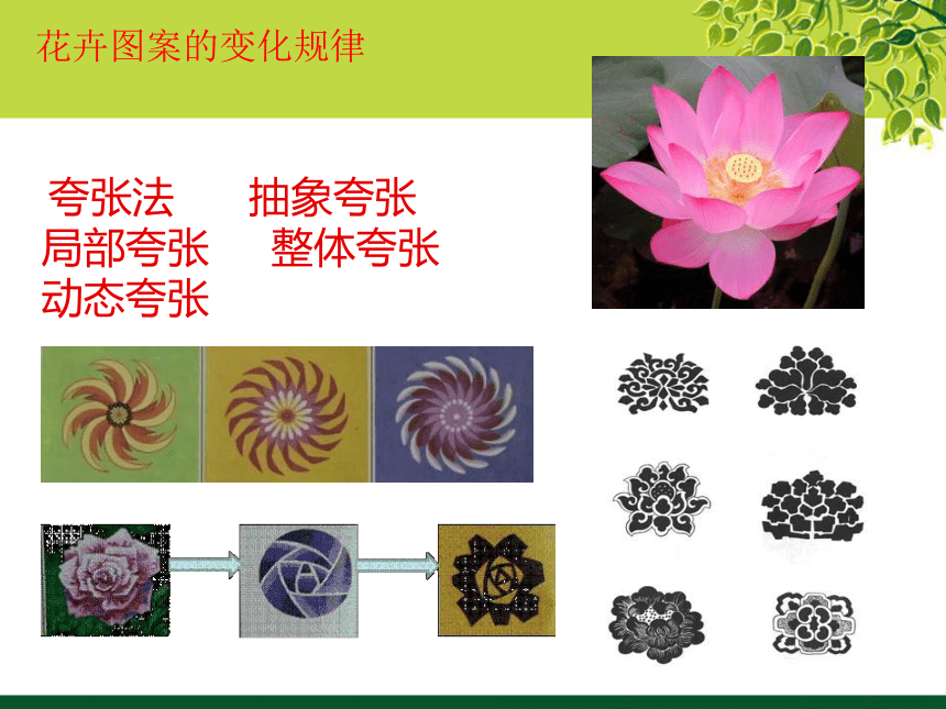 冀教版七年级下册 3.花卉装饰画 课件（28张幻灯片）