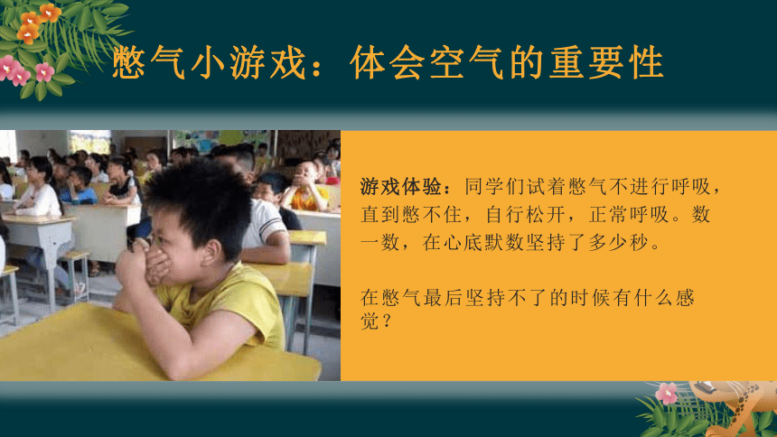 10.1清新空气是个宝（教学课件）-二年级道德与法治下册同步精品课堂系列（统编版）