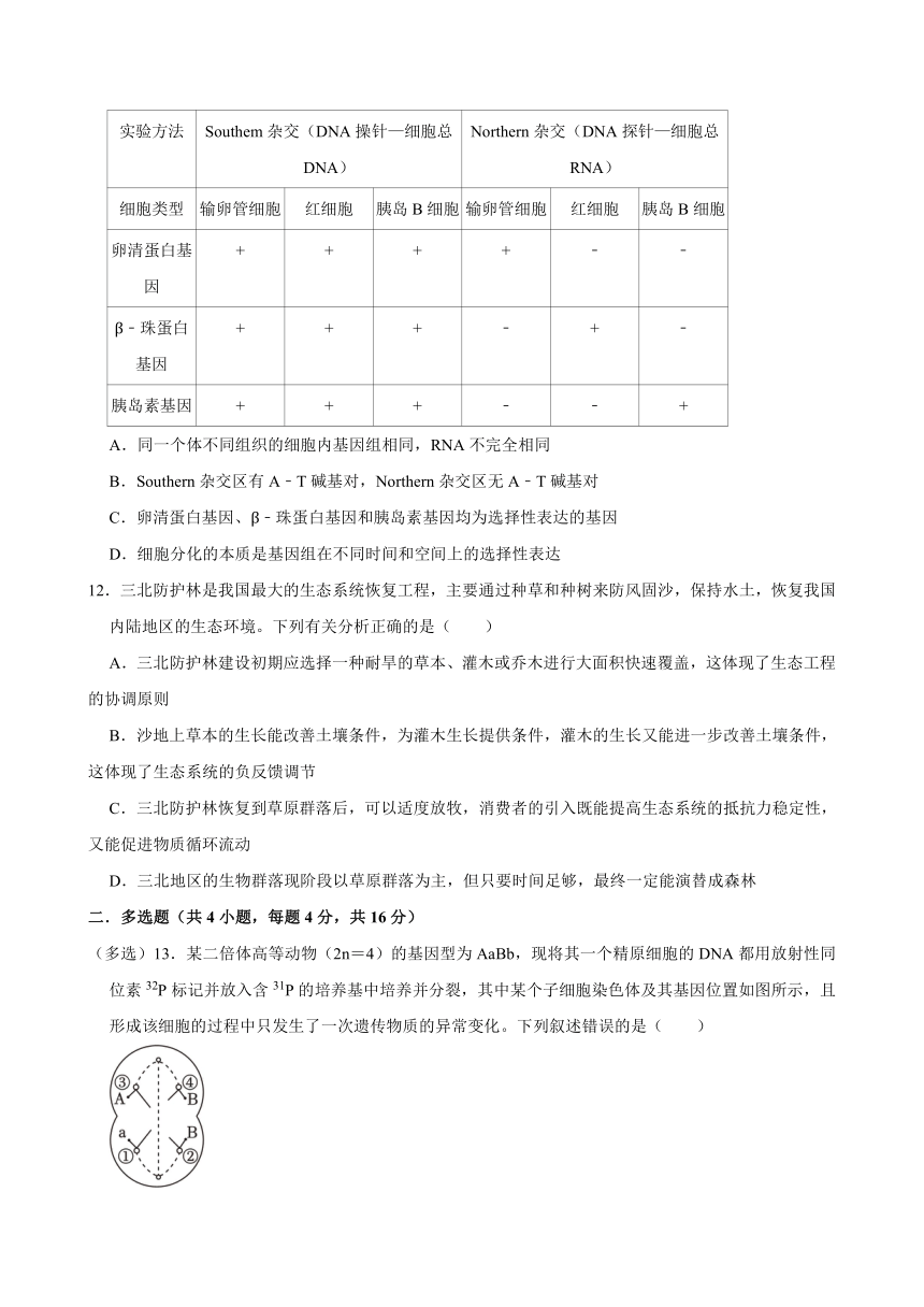 湖南省岳阳市岳汨五月联考2023-2024学年高三下学期5月月考生物学试题（含答案）