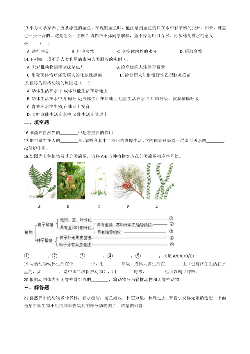 沪教版八年级下册生命科学 第四章 生物的群类 练习题（含答案）