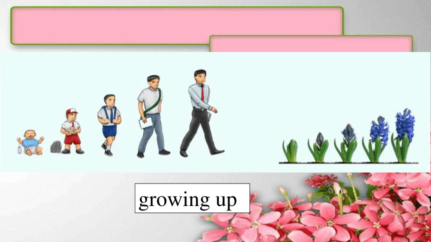 Unit 6 Growing Up Lesson 1  课件 (共43张PPT)