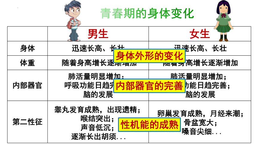 1.1 悄悄变化的我 课件（21张PPT）+内嵌视频